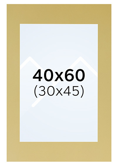 Interart Passepartout - Gull, 30x45, 40x60