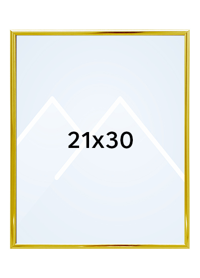 Focus Lily Bilderamme. - Gull, 21x30