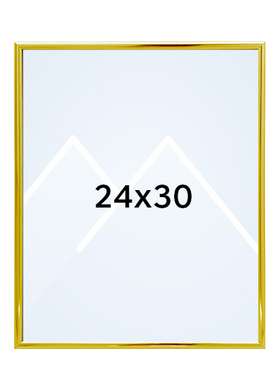 Focus Lily Bilderamme. - Gull, 24x30