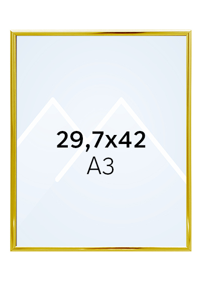 Focus Lily Bilderamme. - Gull, 29.7x42 (A3)