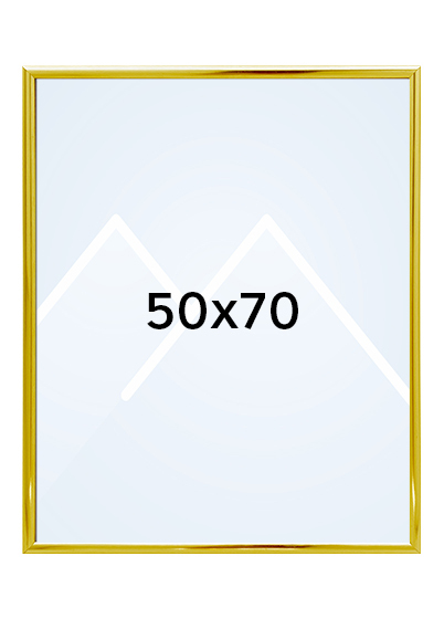 Focus Lily Bilderamme. - Gull, 50x70