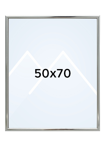 Focus Lily Bilderamme. - Sølv, 50x70