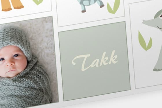 FAILED BY GPT, tried image url: https://www.japanphoto.no/wcsstore/DinkikkertNO//Photofinishing/JapanPhoto/CEWE_Cards/events/takkekort/thumbnails/gca-takkekort-ic-baby_lg.jpg