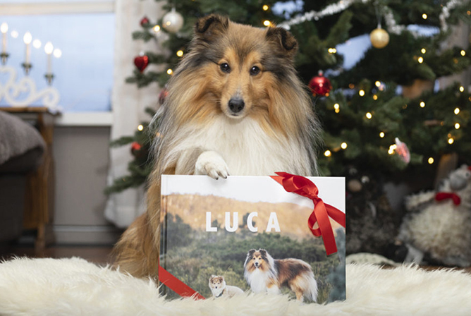 FAILED BY GPT, tried image url: https://www.japanphoto.no/wcsstore/DinkikkertNO//Photofinishing/JapanPhoto/inspirasjon/cards/luca_blogg_bc_lg.jpg