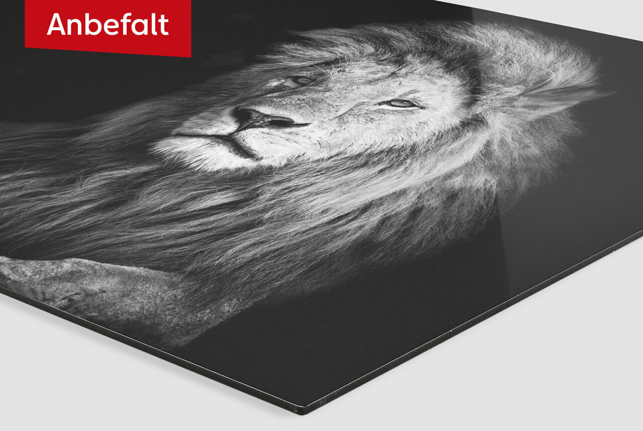 FAILED BY GPT, tried image url: https://www.japanphoto.no/wcsstore/DinkikkertNO//Photofinishing/JapanPhoto/veggbilder/basiccards/jpno-bc-veggbilder-alu-sea_lg.jpg