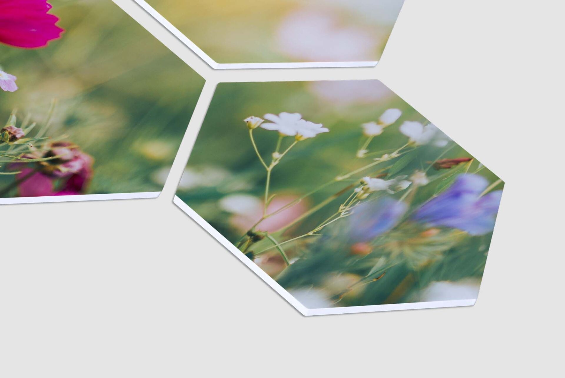 FAILED BY GPT, tried image url: https://www.japanphoto.no/wcsstore/DinkikkertNO/Photofinishing/JapanPhoto/veggbilder/basiccards/jpno-bc-veggbilder-hexxas-sea_lg.jpg