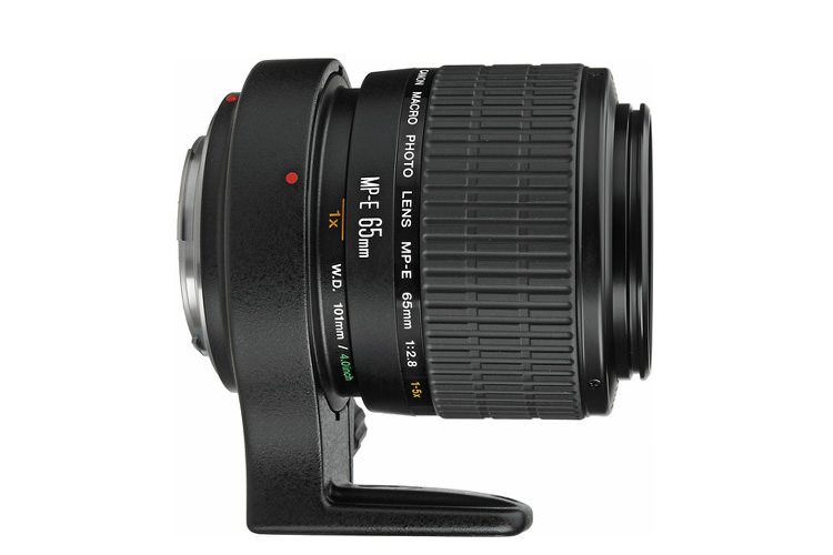 Canon MP-E 65mm f/2.8 Macro Canon MP-E 65mm f/2.8 Macro