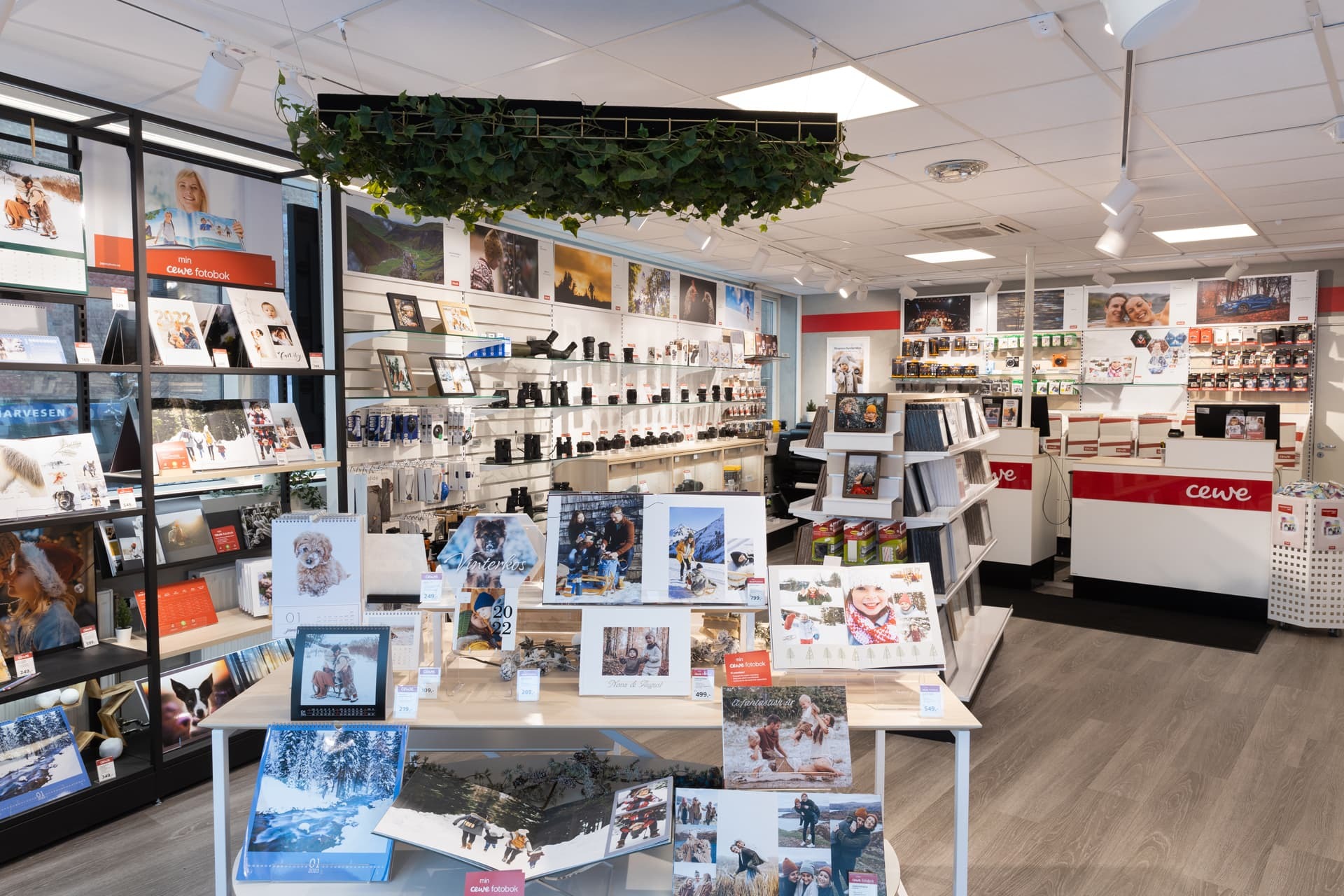 Butikk med fotoprodukter, kalendere og bildealbum utstilt på hyller og bord, dekorert med hengende planter i taket