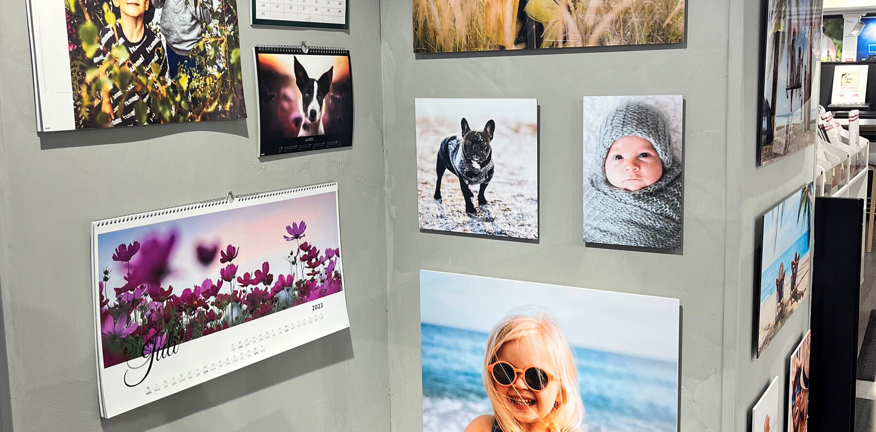 Flere vegghengte bilder og kalendere med motiver av blomster, hunder, natur og strand.