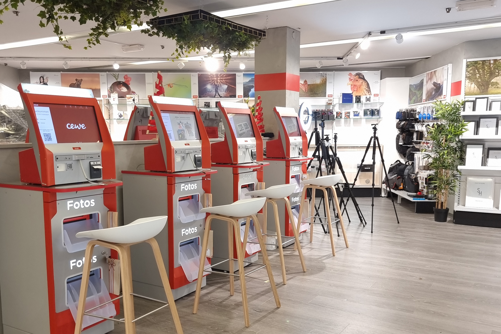 Fem røde og grå CEWE fotokiosker med tilhørende hvite barkrakker i en lyst og moderne butikk, omgitt av kamerautstyr og veggutstillinger